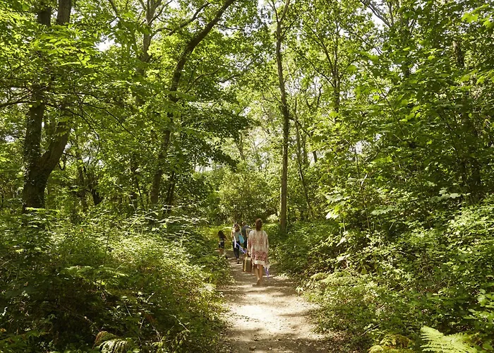 Maison Pour 4 Avec Terrasse - Proche Du Centre